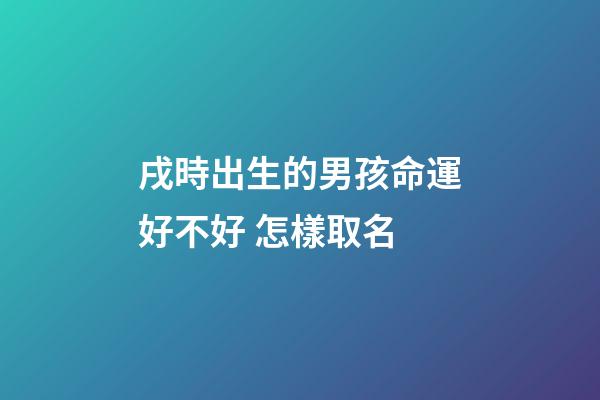 戌時出生的男孩命運好不好 怎樣取名